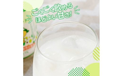 【6ヶ月定期便】サンA フルッぴーキウイヨーグルト(PET)240ml×48本 【 川南町 フルーツ ヨーグルト キウイ ドリンク 定期便 】[D03004t6]