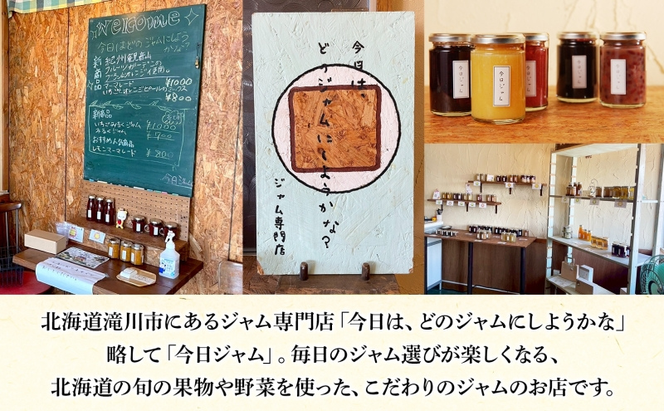 【ふるさと納税】ジャム2種セットB 各1個 ハスカップジャム いちごジャム  今日ジャム 北海道産 自家製 パン ヨーグルト 朝食 濃厚 甘い デザート スイーツ おやつ グルメ ご褒美 贅沢 ギフト 送料無料 北海道 滝川市