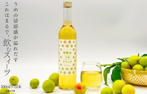和歌山のうめドリンク 500ml × 12本  和歌山産 紀州の梅使用 無添加 ストレート 【みかんの会】 	AX421