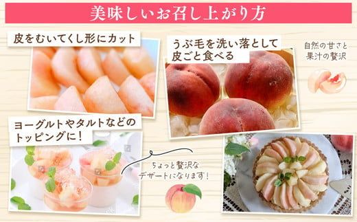 ◆2026年夏発送◆暁星～産直・桃・約5kg～ ※離島への配送不可 ※2026年7月上旬～7月下旬頃に順次発送予定 ｜ 先行予約 予約 数量限定 桃 もも モモ 果物 くだもの フルーツ 詰め合わせ 福島 ふくしま