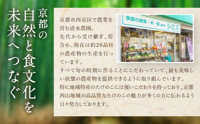 【清水農園】『京たけのこ』収穫体験＋1キロのお土産付プラン 2026年4月19日(日)  (1)10時～の部 1名様分［ 京都 タケノコ 人気 おすすめ 親子 ファミリー 子供向け 送料無料 ふるさと納税 ］ 261009_A-HL010