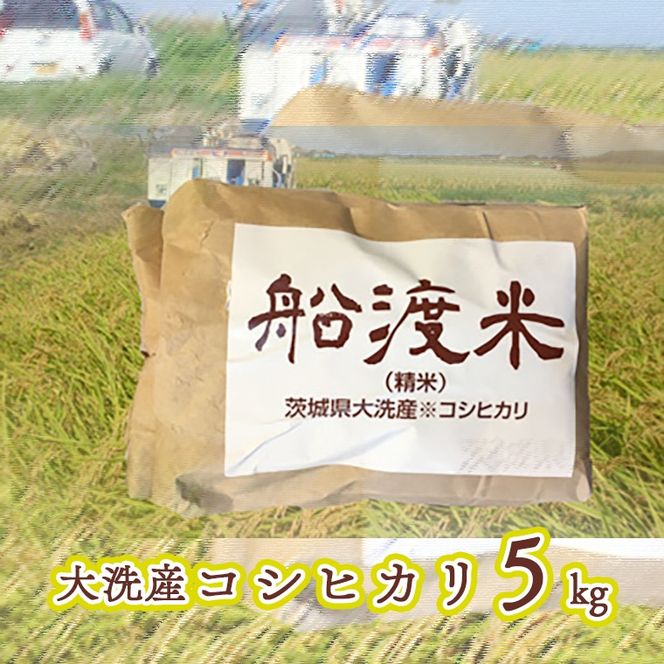 令和8年産 米 コシヒカリ 5kg 船渡米 茨城 大洗 国産 白米 精米