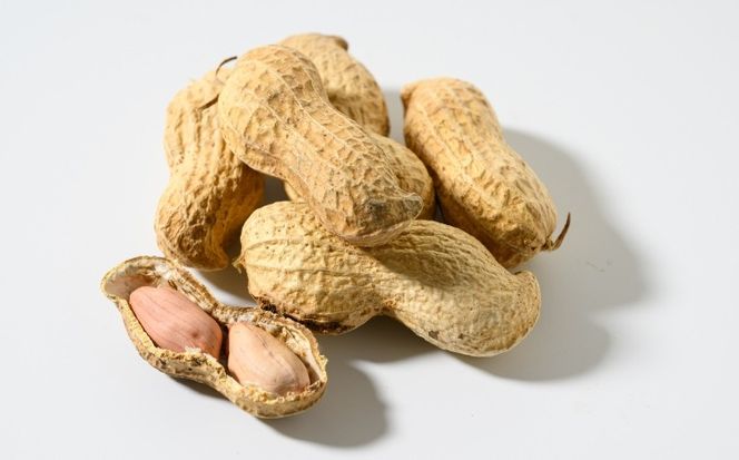 殻付き生落花生 おおまさり 約700g | らっかせい ピーナッツ おつまみ 鹿沼市 農家直送 ※北海道・沖縄・離島への配送不可