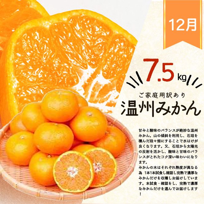 〈定期便〉【10・11・12月 全3回】和歌山産 みかんと柿のお楽しみ 定期便 【ご家庭用】【魚鶴】◇
