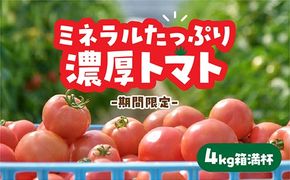 D325 山口秋穂トマト　浜青江とまと農園