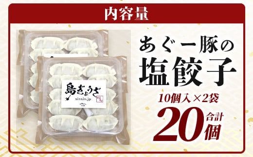 ≪餃子≫ あぐー豚 ぎょうざ 20個【 ブランド豚 アグー豚 ぎょうざ 餃子 焼き餃子 水餃子 焼餃子 沖縄県 石垣市 】GS-3