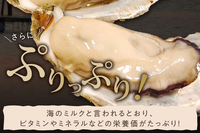 京都・京丹後産　殻付き牡蠣2～3個入り×3パック 魚介 貝 国産 殻付き 真牡蠣 加熱用 ふるさと納税 牡蠣 ふるさと納税 かき カキ　AH00027