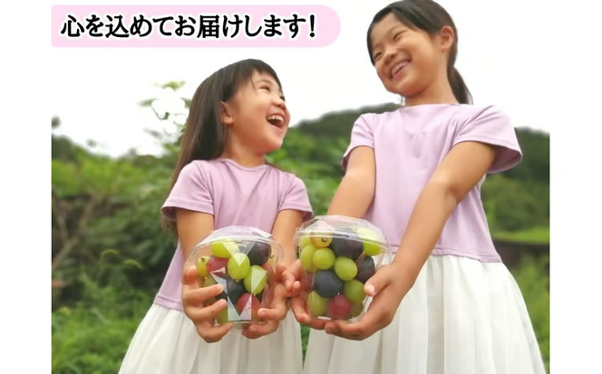 ※2026年の予約です！※【産地直送】フルーツ王国岡山！シャインマスカット入りぶどう粒カップ×２ / 岡山 真庭 シャインマスカット 食べ比べ 葡萄 ブドウ ぶどう 新鮮 果物 フルーツ 人気 数量限定 粒切 食べやすい ギフト ぶどう専門 林ファミリー (2026年9月～発送予定) 【hfbd002-02】