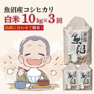【３か月定期便】令和８年産新米　魚沼産コシヒカリ 精米10kg×3回　計30kg