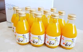 有田みかんの和（なごみ）180ml×12本【kjk111】