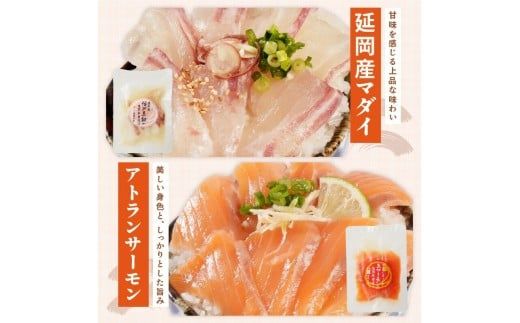 海鮮漬け丼 5種　お試しセット N019-YA192