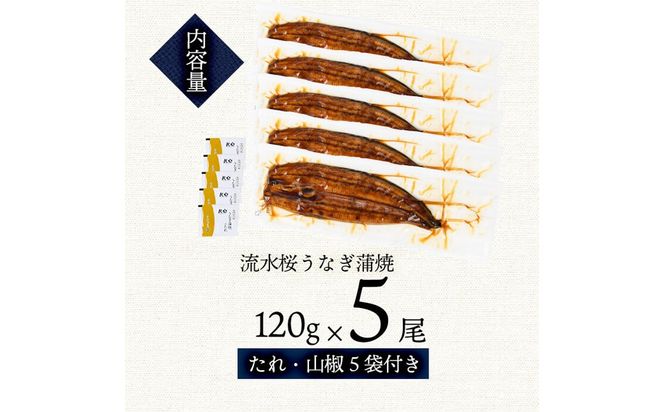 うなぎの柳澤 流水桜うなぎの蒲焼き 計5尾＜計600g＞  a9-040