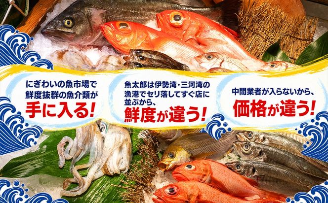 【魚太郎知多本店】商品券1万円分 魚太郎 ふるさと納税 海鮮 刺身 干物 ひもの バーべキュー 愛知県 美浜町※ゆうパックにて配送 ※2025年10月より利用方法が変わりました 〇
