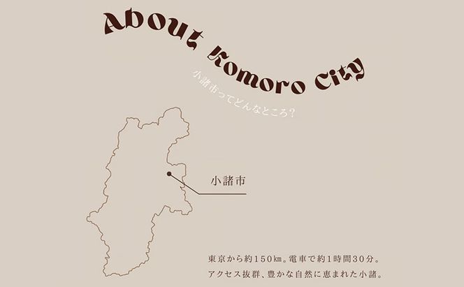 信州小諸産の木を使った浅間山の立体模型 