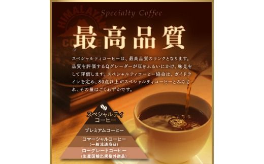 【訳あり】自家焙煎ネパール産スペシャルティコーヒー豆 Washed 80g ( 珈琲 自家製 豆 焙煎 わけあり )【166-0004】