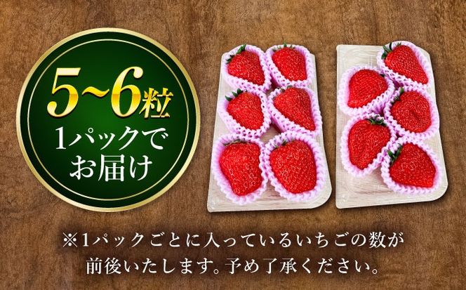 【先行予約】 ＼2026年1月下旬より順次発送／超特大玉いちご 完熟 紅ほっぺ (350g×4パック) いちご 果物 フルーツ 愛西市 / はしもと園芸[AECD002]