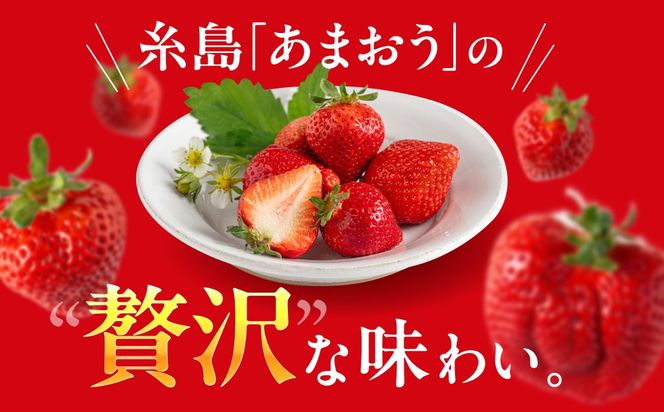 【農園直送】糸島のあまおう 270g×4パック (サイズおまかせL〜5L) 果物 フルーツ いちご / 糸島市 / 磯本農園 / TANNAL[ATB004]