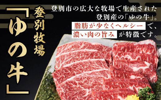 量が選べる！牛肉 北海道 焼肉 登別産 国産  手切り カルビ スライス 250g～2kg　登別産国産牛ブランド【登別牧場ゆの牛(うし)】
