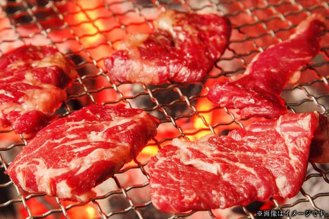肉 カルビステーキ 500g 2p 計 1kg [上球磨農産 熊本県 五木村 51120363] 牛肉 カルビ ステーキ 厚切り かるび すてーき 下味付き 塩味 冷凍