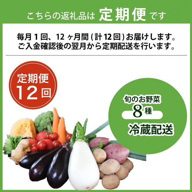 旬のお野菜詰め合わせ 京野菜セット 8種類　全12回
