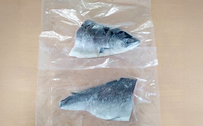 北海道産 塩時鮭 姿切身（半身） 約600g （300g×2パック） [ 鮭 さけ 時鮭 貴重 焼き魚 魚 魚介類 サケ ]