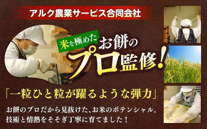 令和7年度産 精米 夢つくし 10kg/築上町【アルク農業サービス合同会社】 米 こめ 白米[ABAB006]