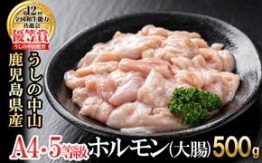 うしの中山 ホルモン(大腸)500g(500g×1袋) p9-028