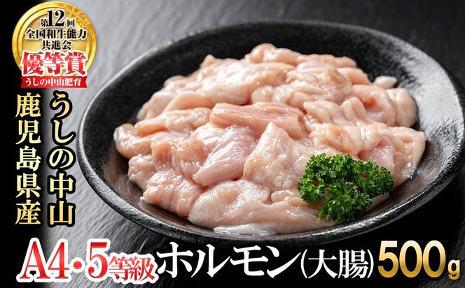 yuzusz̒R z(咰)500g(500g×1) p9-028