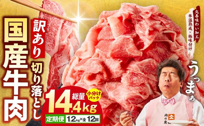y{򍲖sz099Z308 yXn×ɖtzY  ؂藎Ƃ  1.2kg×S12  14.4kg ۑP킢HyzR[Xz