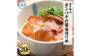 訳あり 活き締めカンパチの醤油漬け丼(20P)セット かんぱち 醤油 特製タレ 惣菜 魚 魚介類 海鮮 海鮮丼 お茶漬け 新鮮 高鮮度 ご自宅用 ご家庭用 美味しい【企業組合　宇佐もん工房】 [BQAB035]
