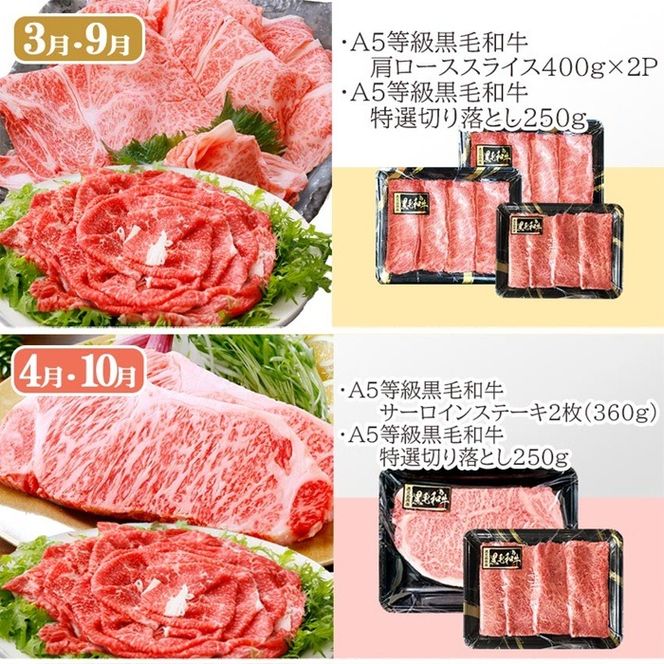 定期便(6回配送)A5等級鹿児島県産黒毛和牛三昧 II-0016 【1166763】