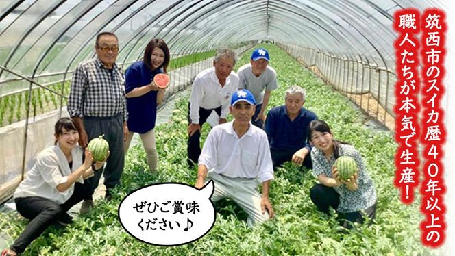 【 先行予約 】 【 訳あり 】 こだまスイカ 愛娘 2玉 2026年産 すいか スイカ 小玉スイカ フルーツ 果物 [AF084ci]