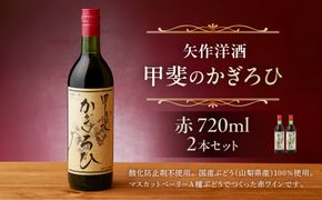 矢作洋酒　酸化防止剤無添加　甲斐のかぎろひ　赤　720ml　2本セット 【kw0134-0232】