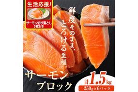 生活応援 サーモン切り落とし5枚付き！生食用 サーモン ブロック(計1.5kg・250g×6P) 鮭 小分け 真空 パック 冷凍 刺身 シャケ サケ 魚 魚介 【AW-101】【丸正水産】