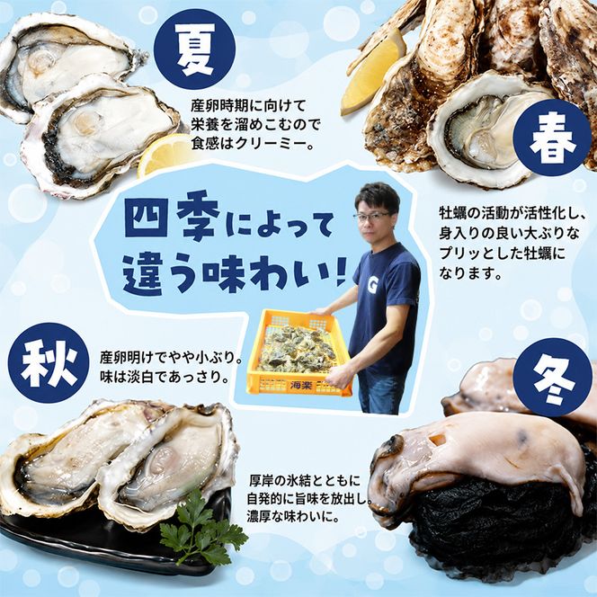 【 4ヵ月 定期便 】牡蠣 北海道 厚岸産 牡蠣むいちゃいました！ 生食用 500g (各回500g×4ヶ月分,合計約2kg)  魚貝類 生牡蠣 マルえもん