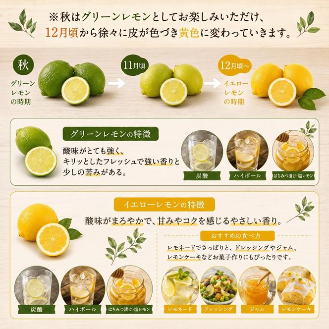 【先行予約】 レモン 約 3kg 24個 檸檬 フルーツ 果物 くだもの 柑橘 国産 新鮮 減農薬 ノンワックス 防腐剤 不使用 皮ごと 牡蠣 かき 魚 さかな 肉 にく スイーツ パスタ みかん 蜜柑  愛媛県 愛南町