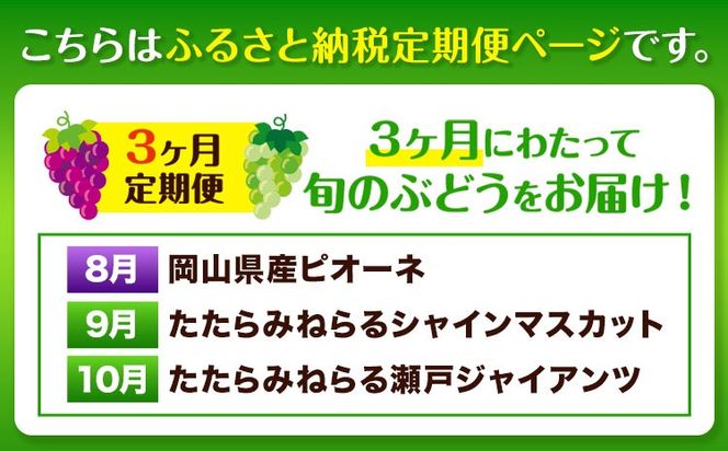 【先行予約】3ヶ月 定期便 食べ比べセット たたらみねらる シャインマスカット 瀬戸ジャイアンツ ピオーネ 2〜3房(計1.3kg)《2026年8月下旬-10月下旬頃出荷予定》岡山県 笠岡市 マスカット ぶどう ブドウ 葡萄 フルーツ 果物 たたらみねらる 食べ比べ セット---Y-09---