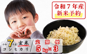 《令和7年産新米予約・10月ごろよりお届け開始》【3回定期便】玄米 5kg 令和7年産 コシヒカリ 岡山 あわくら源流米 K-ab-BECA
