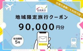 沖縄県恩納村 日本旅行 地域限定旅行クーポン9万円分（Eメール発行）