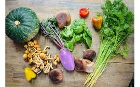 D421 美味しいお米と野菜の詰め合わせセット【白米2kg】