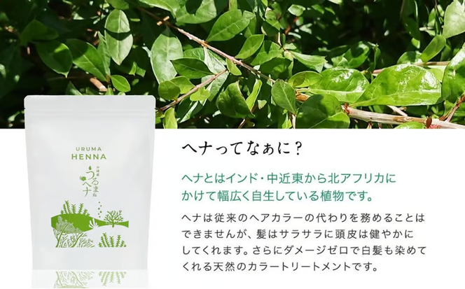沖縄産ヘナ「うるまヘナ」1袋（500g）