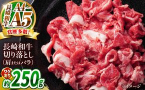【訳あり】【A4〜A5】長崎和牛切り落とし 250g / 牛肉 ぎゅう肉 和牛 / 南島原市 / 株式会社MEAT PLUS[SHG035]