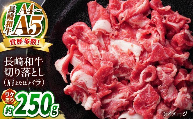 【訳あり】【A4〜A5】長崎和牛切り落とし 250g / 牛肉 ぎゅう肉 和牛 / 南島原市 / 株式会社MEAT PLUS[SHG035]