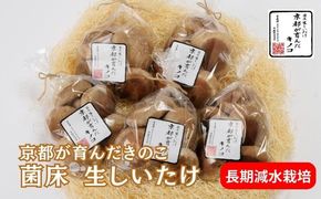 しいたけ 京都が育んだきのこ 長期減水栽培 菌床 生しいたけ 特大サイズ 200g 5袋 椎茸 シイタケ きのこ キノコ 野菜 京都 