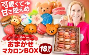 おまかせ マカロン ボックス 18個入 マカロン 焼菓子 スイーツ 愛西市 / ニコールマカロン[AEDA003]