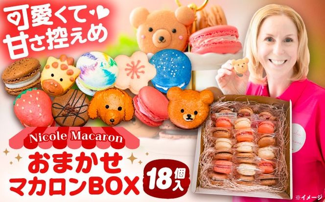 おまかせ マカロン ボックス 18個入 マカロン 焼菓子 スイーツ 愛西市 / ニコールマカロン[AEDA003]