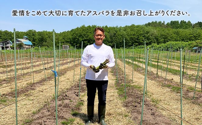 先行予約 2026年 夏アスパラガス 約1.2kg ＋100g M～L 混合 古川農園 ※オンライン決済限定 野菜 アスパラガス アスパラ 栄養豊富 ほんのり甘い 肉質しっかり あっさり おつまみ 料理 