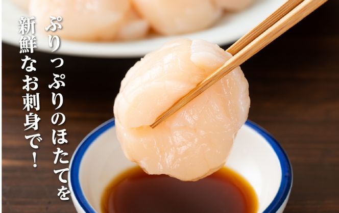 【 3ヵ月 定期便 】北海道 訳あり 冷凍 帆立 貝柱 1.1kg (各回1.1kg×3ヶ月分,合計約3.3kg)  お刺身 新鮮 魚貝類 