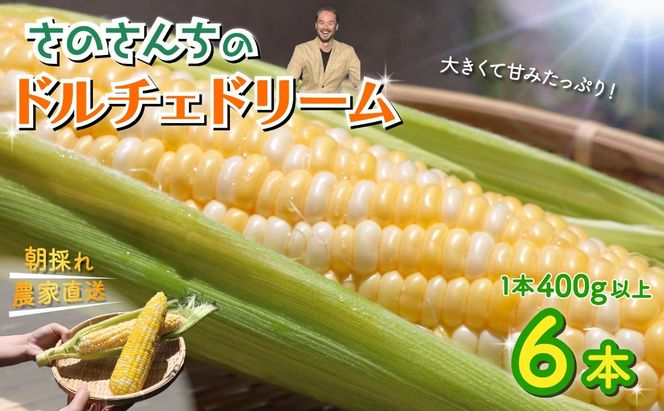【先行予約】 【令和8年6月上旬頃より順次発送】 とうもろこし 6本入り ドルチェドリーム トウモロコシ さのさんち 野菜 夏野菜 旬 甘い 安心 安全 JGAP認証農場 静岡県 藤枝市