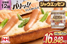 定期便 シャウエッセン 117g(約6本入) 2束 6袋 計1.404kg 12回 総計16.848kg [ 日本ハム マーケティング 静岡県 吉田町 22424428] 冷蔵 小分け ウインナー ウィンナー ソーセージ 粗びき 粗挽き あらびき 業務用 惣菜 弁当 お弁当 おかず おつまみ バーベキュー